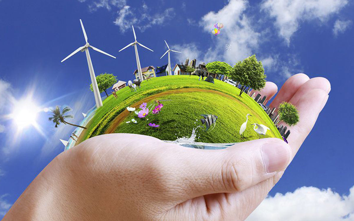 grafica ecosistema del pianeta Terra